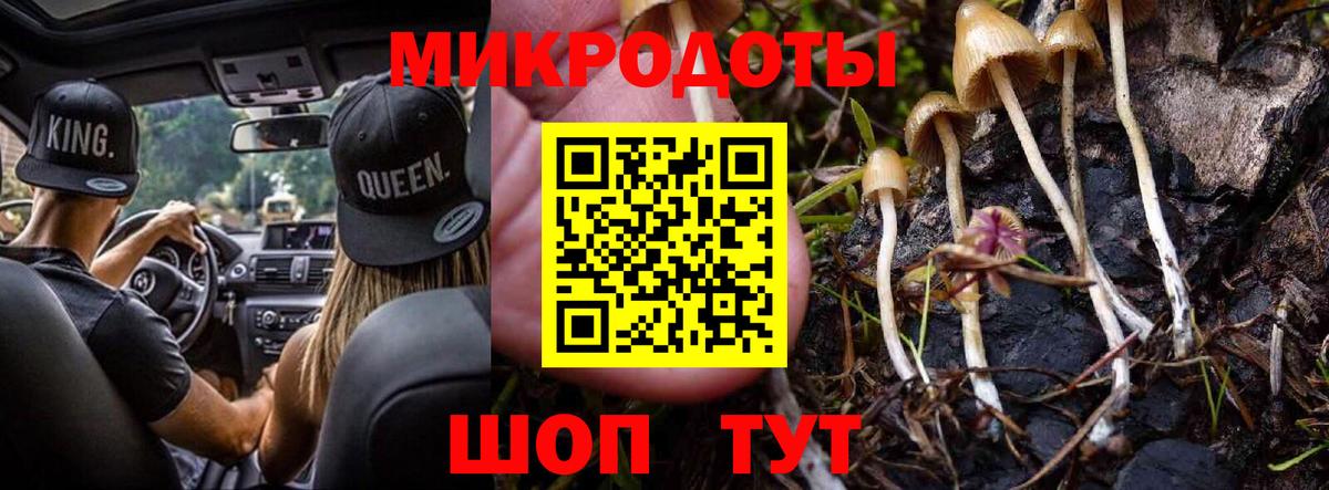 Галлюциногенные грибы MAGIC MUSHROOMS Егорьевск